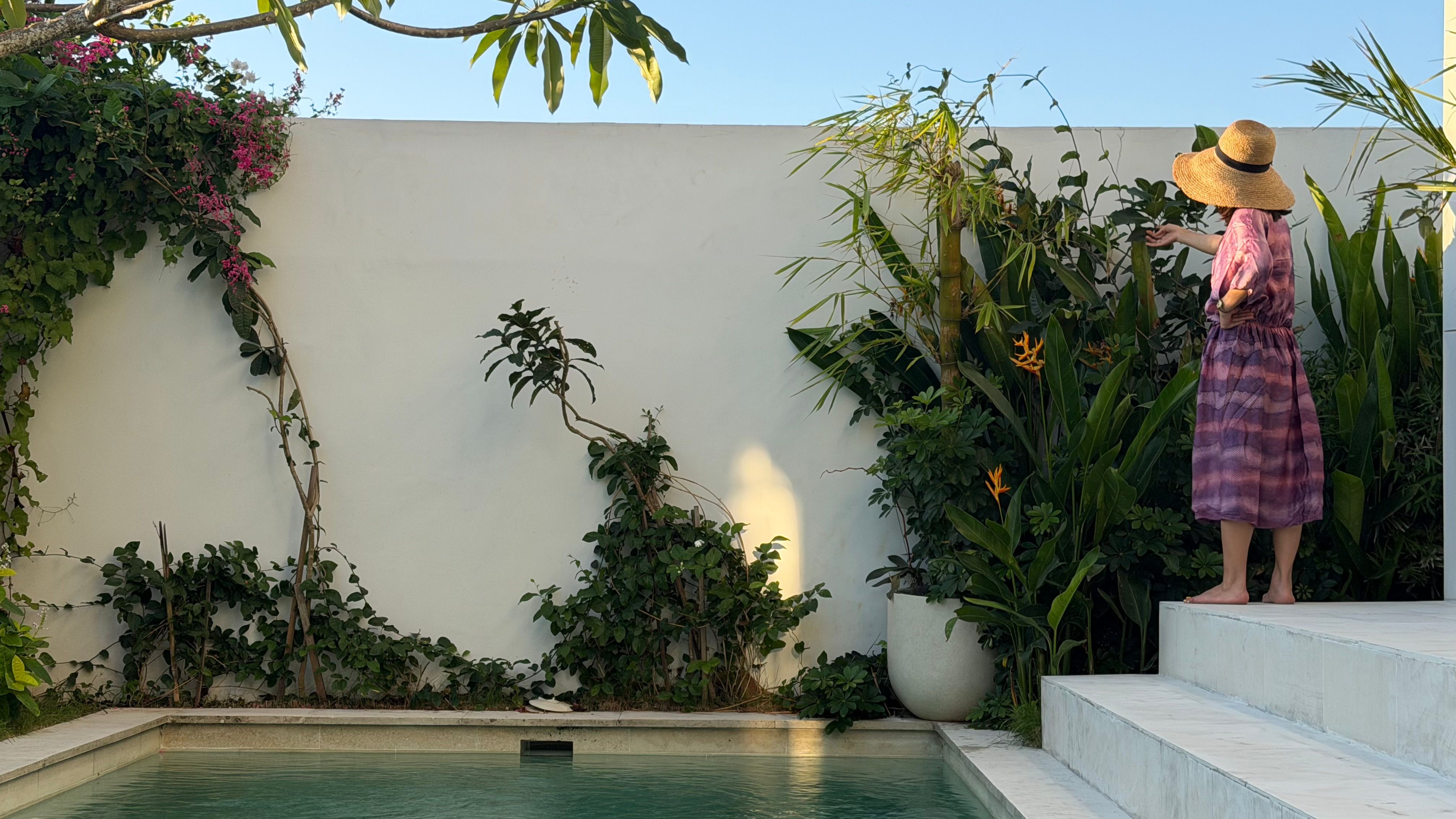 The garden at golden hour — white walls, bougainvillea and frangipani, a figure on the marble steps.